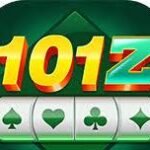 101 Z